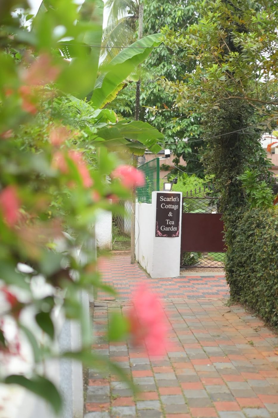 The entrance sign at Scarlet's Cottage & Tea Garden